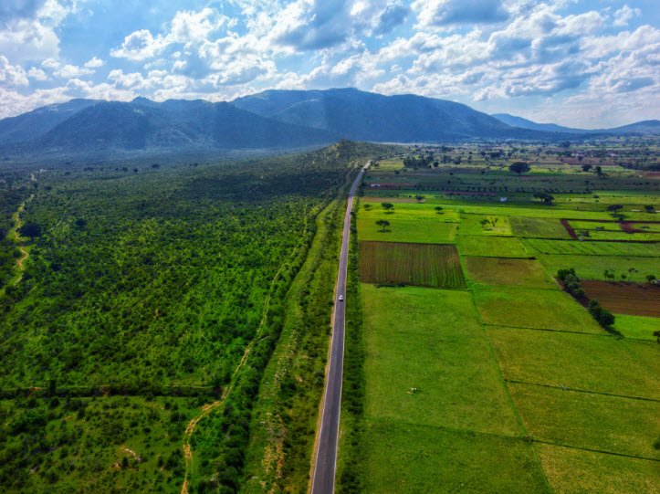 Gopalswami Hills, Nilgiris, Tamil Nadu - Vushii.com